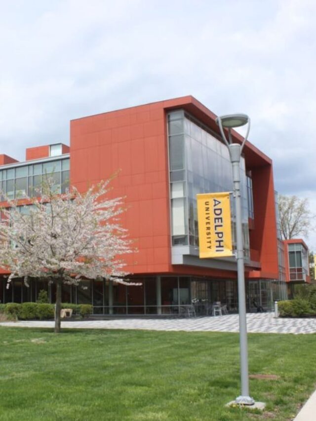 Adelphi University education, tuition, doctoral, PhD, postgraduate, master’s programs, fees, university hub.